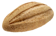 cutted round breed  free png image download