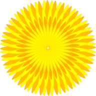 dandelion png free download 22