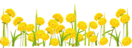 dandelion png free download 9