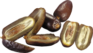 dates png free download 1