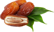 dates png free download 26