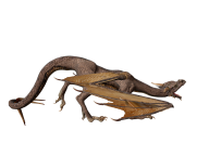 dragon 3d art