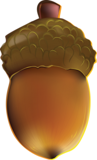 Drawn Acorn Png free image Download