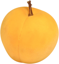 Drawn Apricot Png Clipart