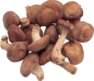 dried mushroom free download png