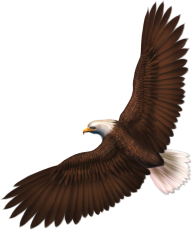 eagel png free download 1