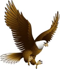 eagel png free download 16