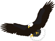 eagel png free download 18