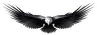 eagel png free download 22