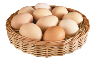 egg png free download 15