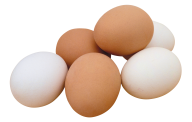 egg png free download 16
