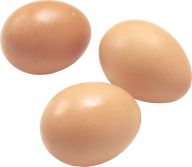 egg png free download 27