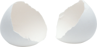 egg png free download 31