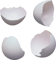 egg png free download 43