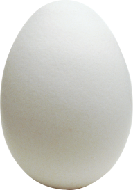 egg png free download 7