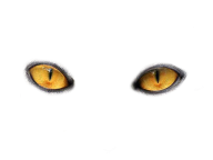 eye png free download 6