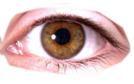 eye png free download 7