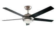 Fan Image Download