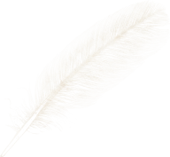 Feather Clipart Image Download