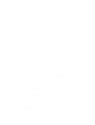 Feather clipart logo image download