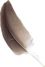 Feather Clipart