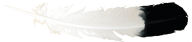 Feather Drawing Png Image