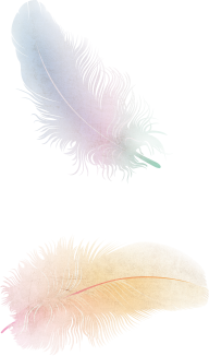 Feather Free Png Download