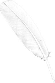 Feather Png Whie Download for Free
