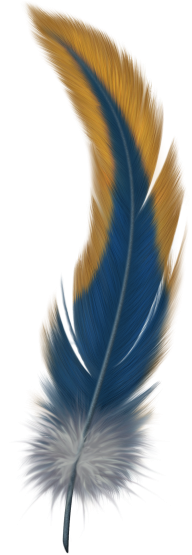 Feather Transparent Image