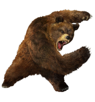 Ferocious Png Bear Free Download