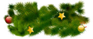 Fir Tree Free PNG Image Download 12