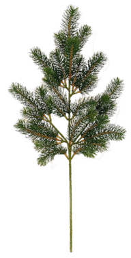 Fir Tree Free PNG Image Download 14