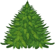 Fir Tree Free PNG Image Download 19