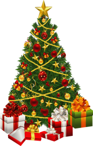 Fir Tree Free PNG Image Download 3