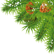 Fir Tree Free PNG Image Download 36