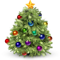 Fir Tree Free PNG Image Download 4
