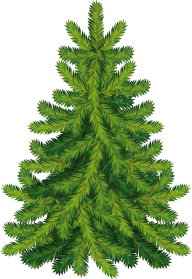 Fir Tree Free PNG Image Download 42