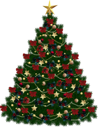Fir Tree Free PNG Image Download 9