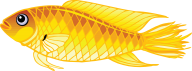 Fish Free PNG Image Download 10