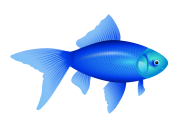 Fish Free PNG Image Download 18