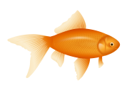 Fish Free PNG Image Download 22