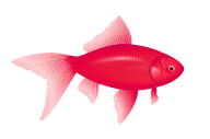 Fish Free PNG Image Download 29