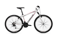 focus bicycle free png image download