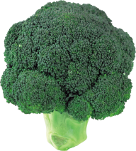 full green broccoil free png download