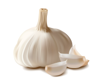 Garlic Free PNG Image Download 1