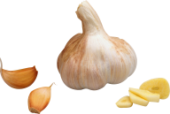 Garlic Free PNG Image Download 10