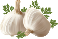 Garlic Free PNG Image Download 11