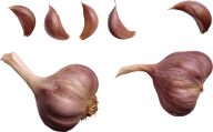 Garlic Free PNG Image Download 12