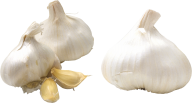 Garlic Free PNG Image Download 13