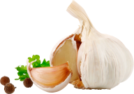 Garlic Free PNG Image Download 14